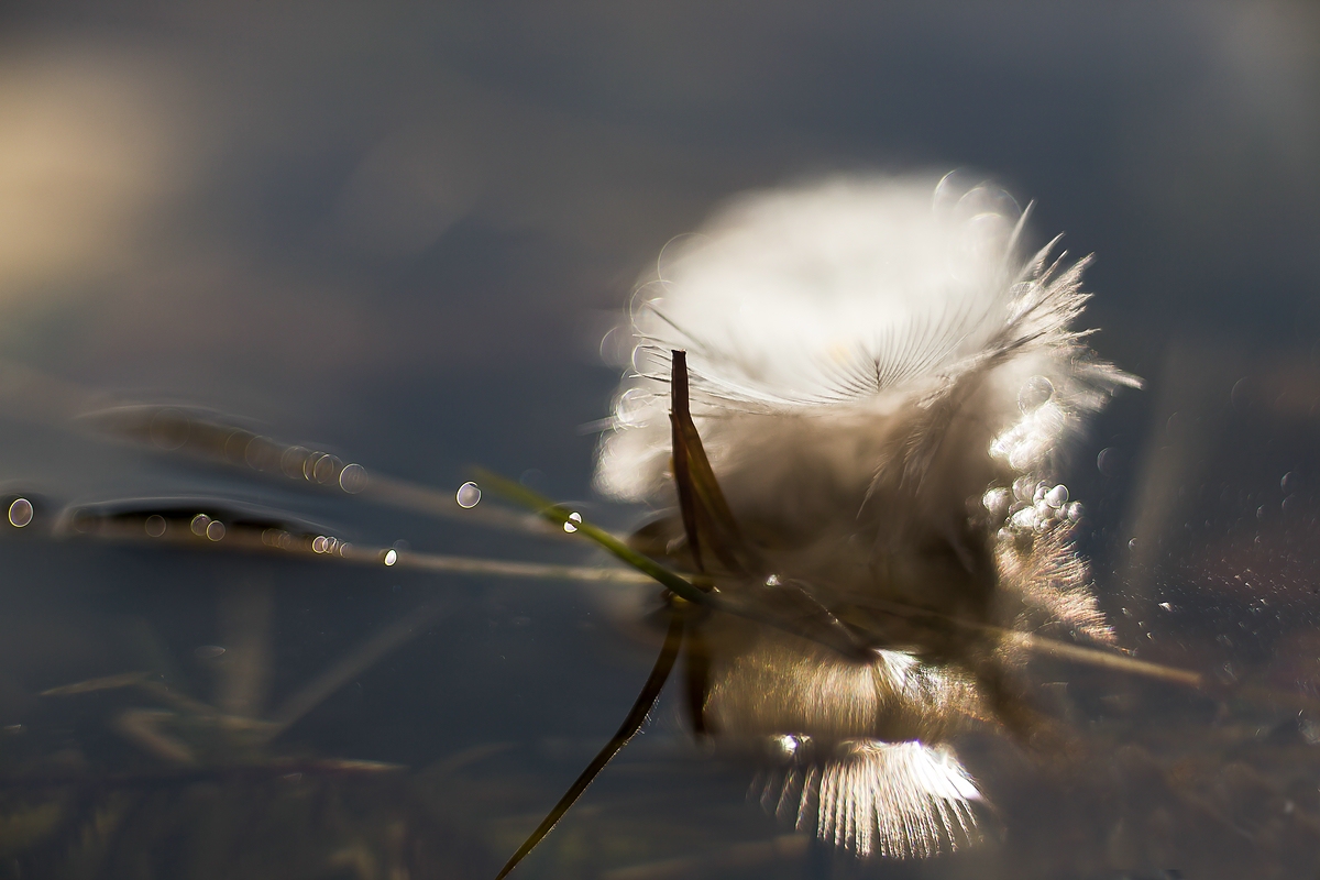 comp_ks24. März 20141550-2.jpg