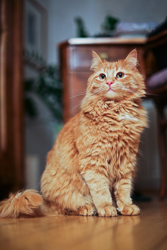 20140415_8848.jpg