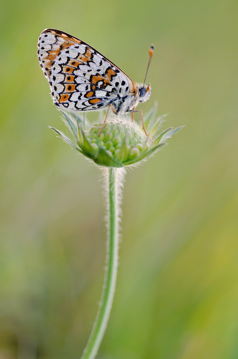 _DSC0473_bearbeitet-1.jpg
