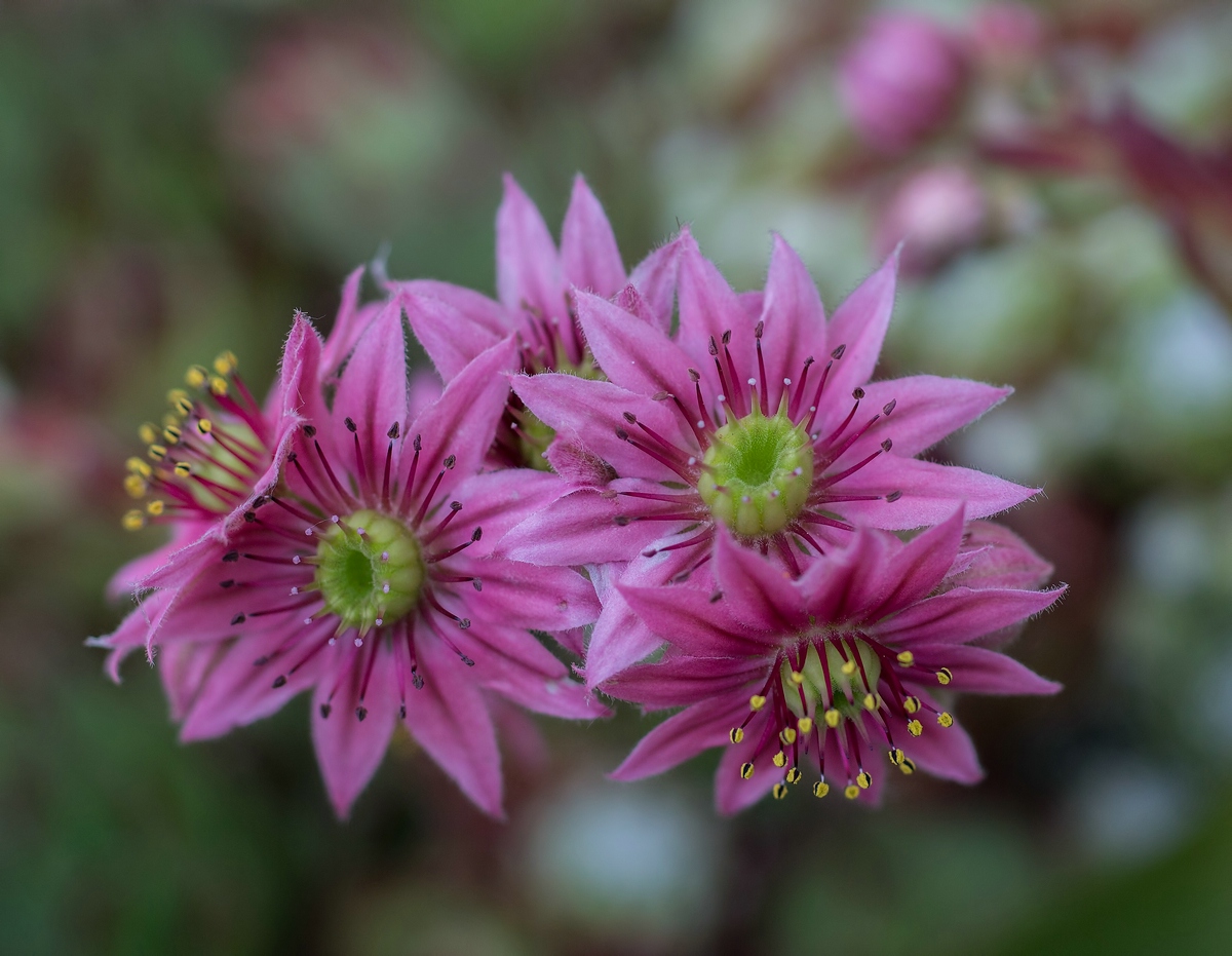 comp_DSC051371.jpg
