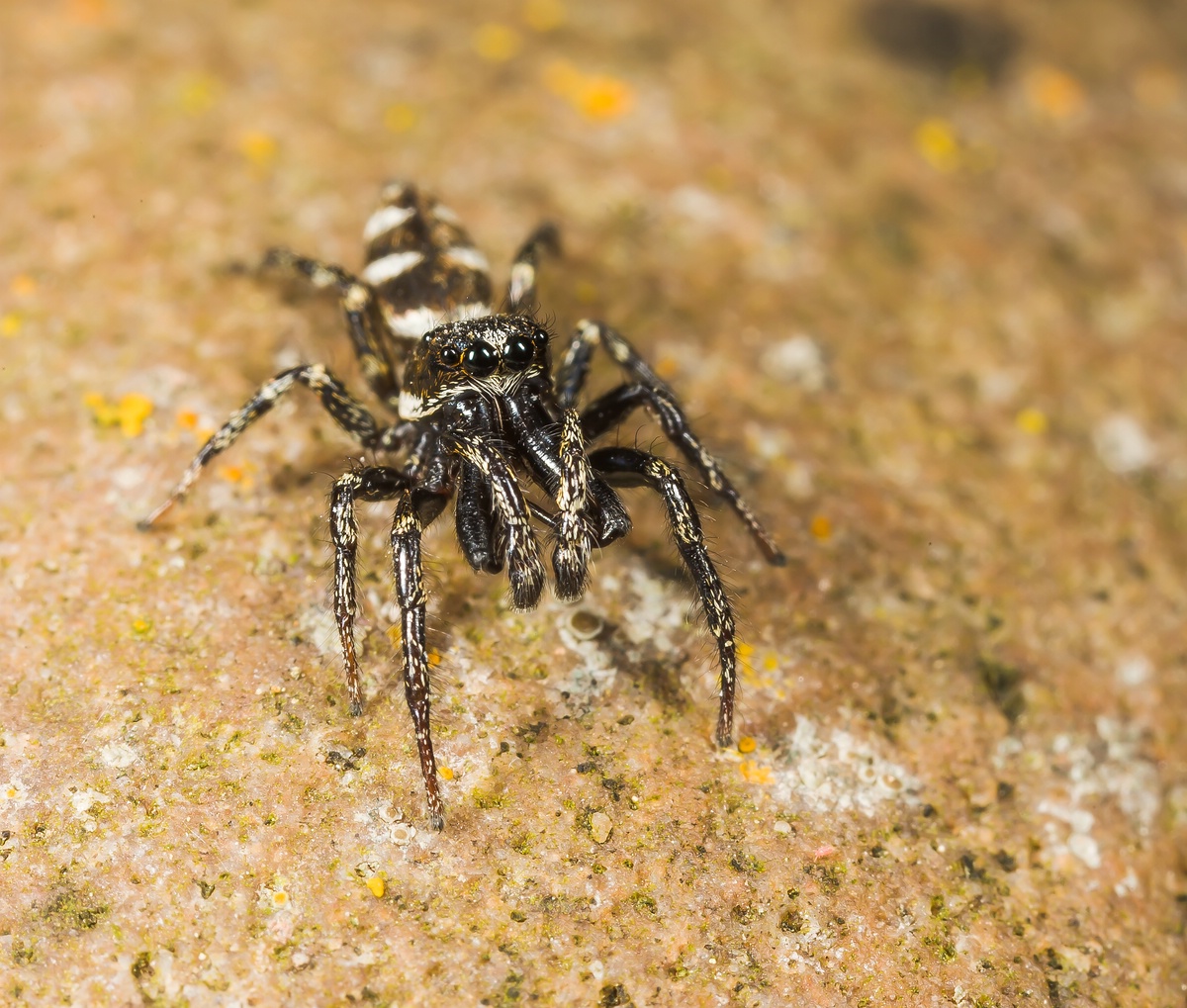 comp_ks09. Juni 20141133.jpg