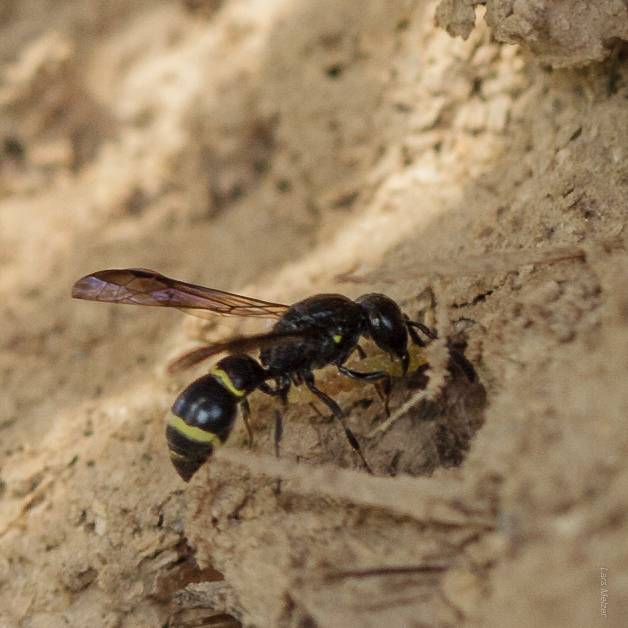 2014.06.28 11-43-14 5711.jpg