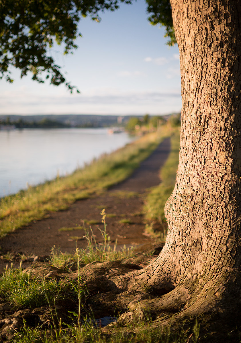 140524_01-3.jpg