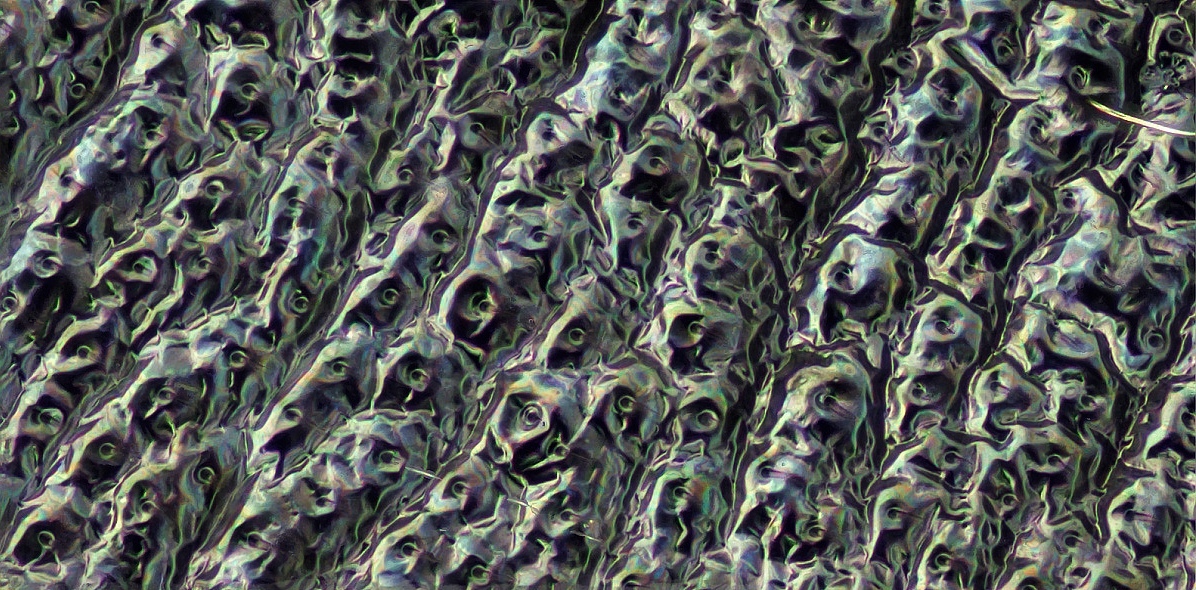 Unbenanntes_Panorama1wespe.jpg
