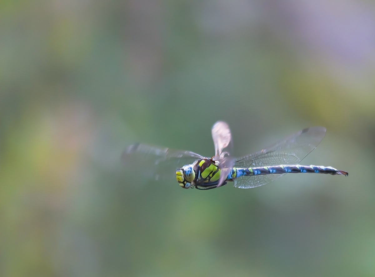 comp_ks02. September 20141307.jpg