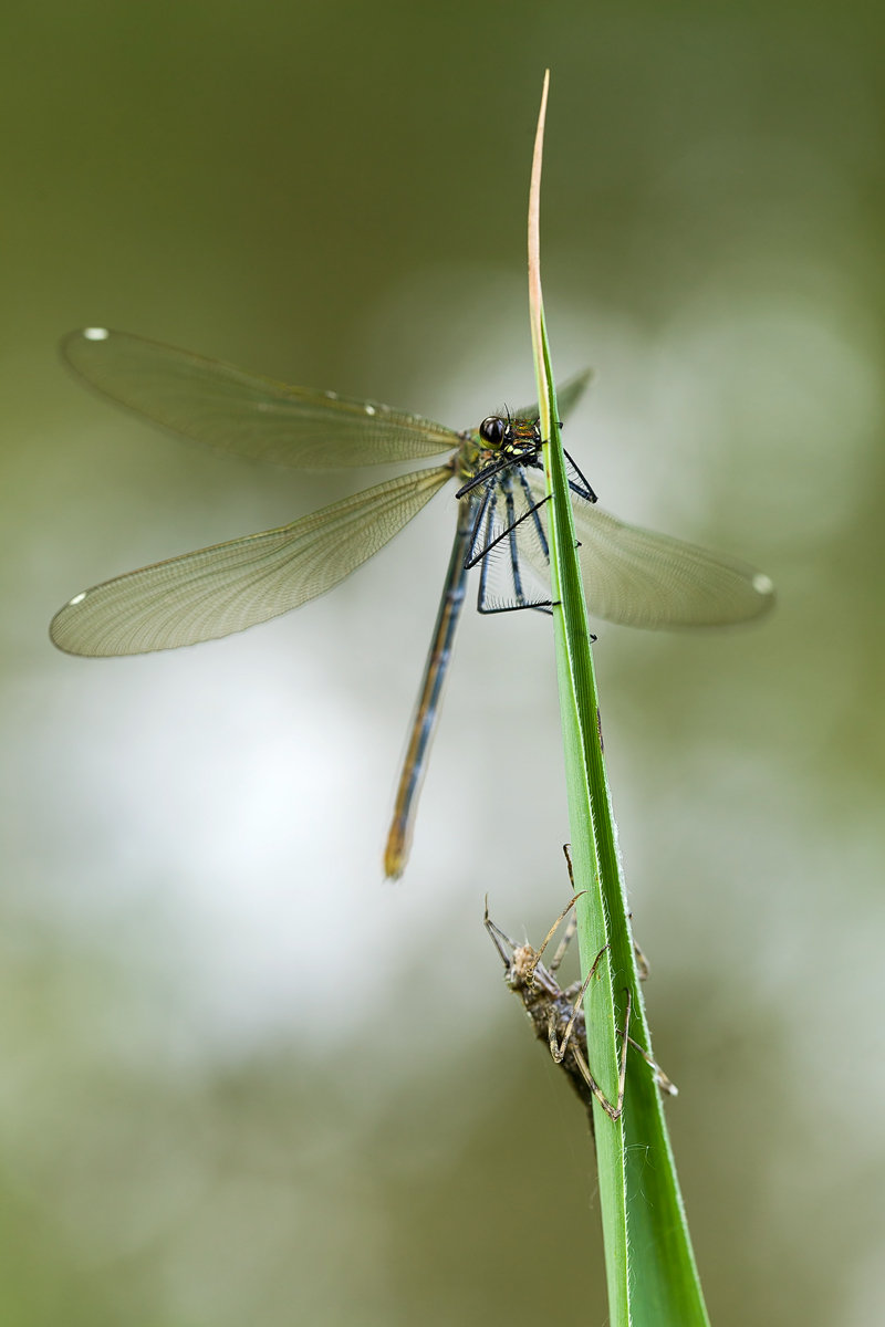 20140528_0506.jpg