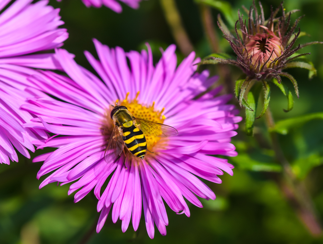 2014_09070017.jpg