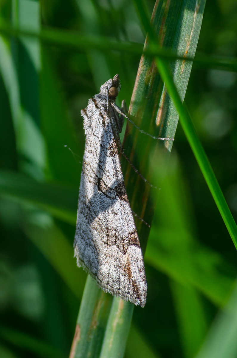 DSC_0289-1_filtered-1200.JPG