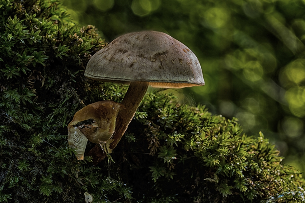 20140923-20140923unbenannt25_bearbeitet-4.jpg