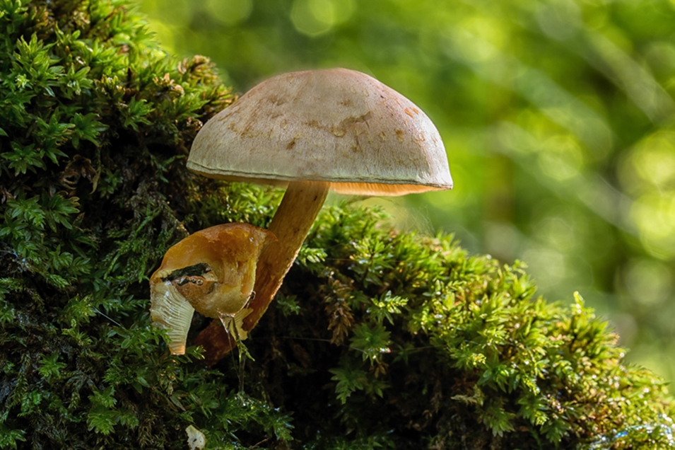 20140923-20140923unbenannt25_bearbeitet-5.jpg