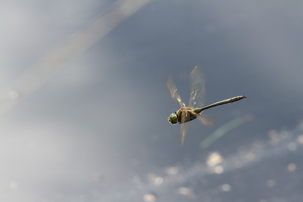 D7_12861.jpg