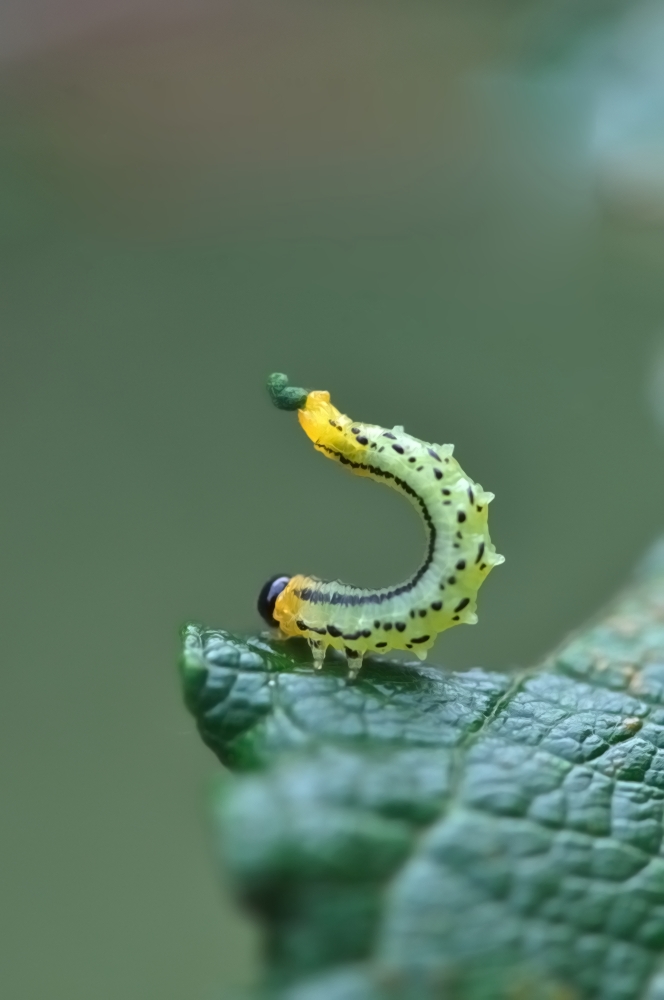 DSC_1721.jpg