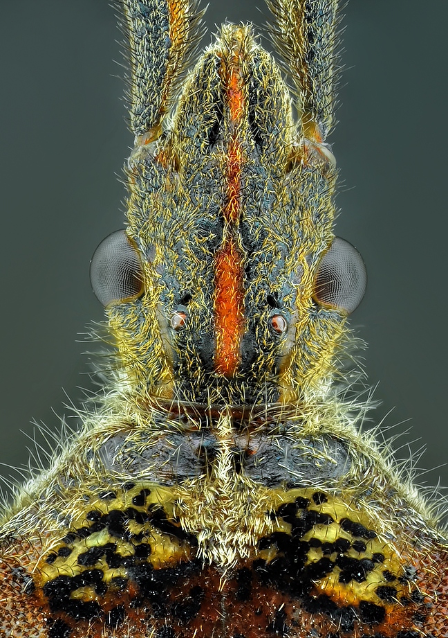 2015-01-20-19.09.37 ZS retouched.jpg