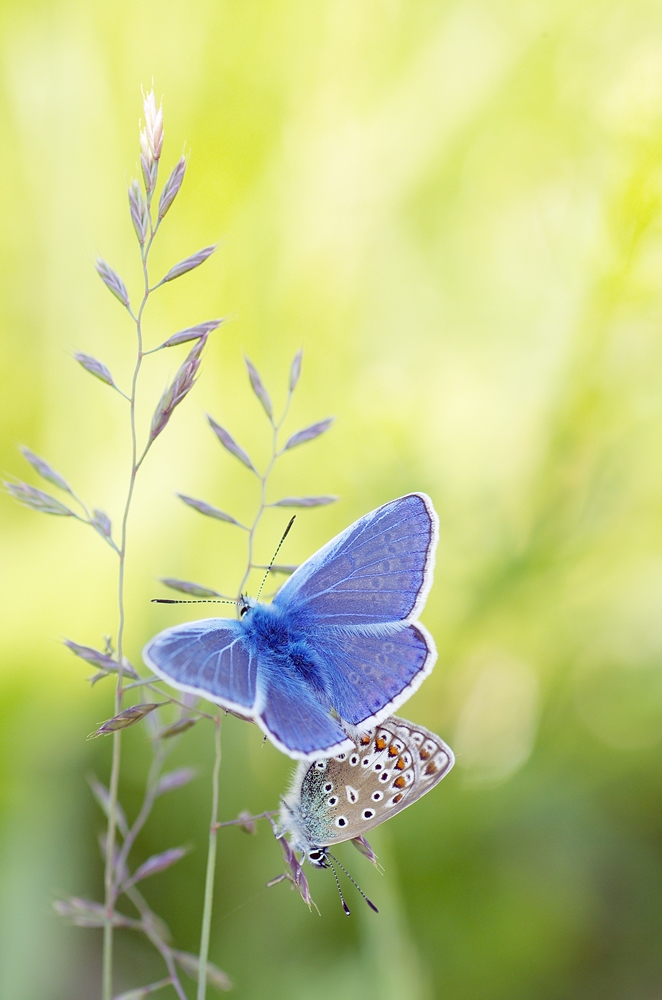 IMGP7532a1000 campus aachen.JPG