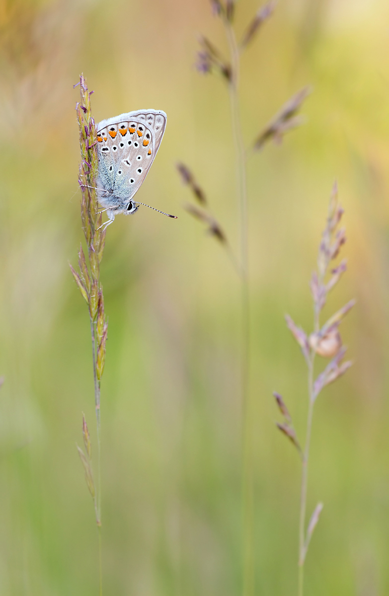_MG_4196-Bearbeitet2 Kopie.jpg