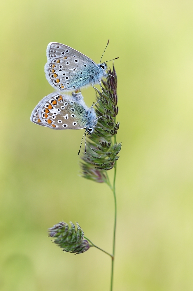 IMGP9018a1000 campus aachen.JPG