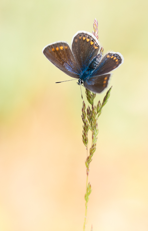 RD7_4140-3.jpg