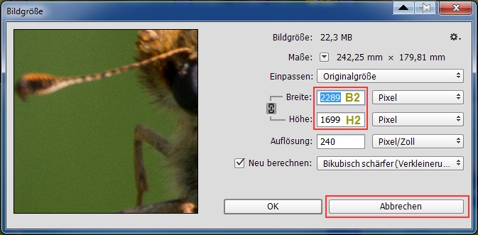 Beschnitt_Ps_Bildgroesse_Dialog.jpg