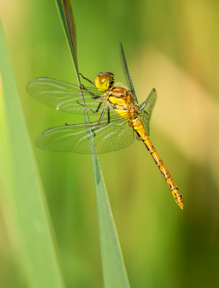 _1400744web.jpg