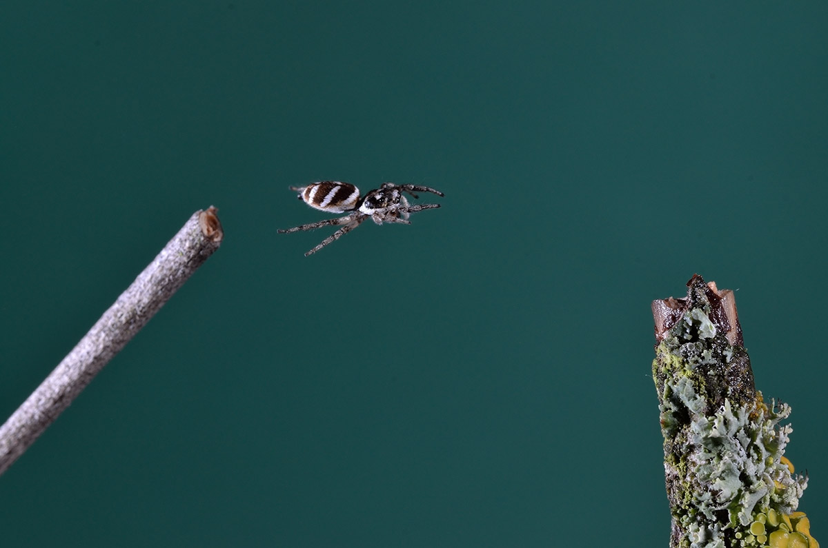 D7K_5515.jpg