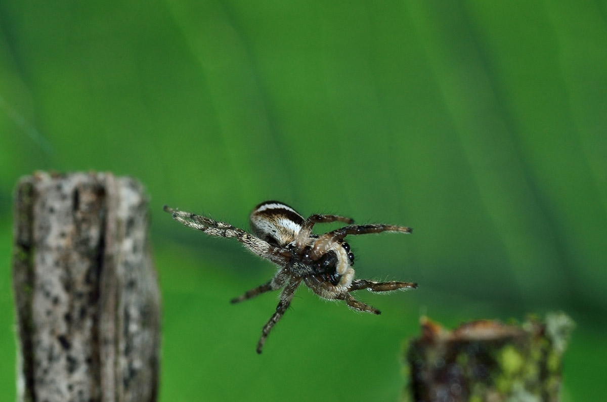 D7K_5779.JPG