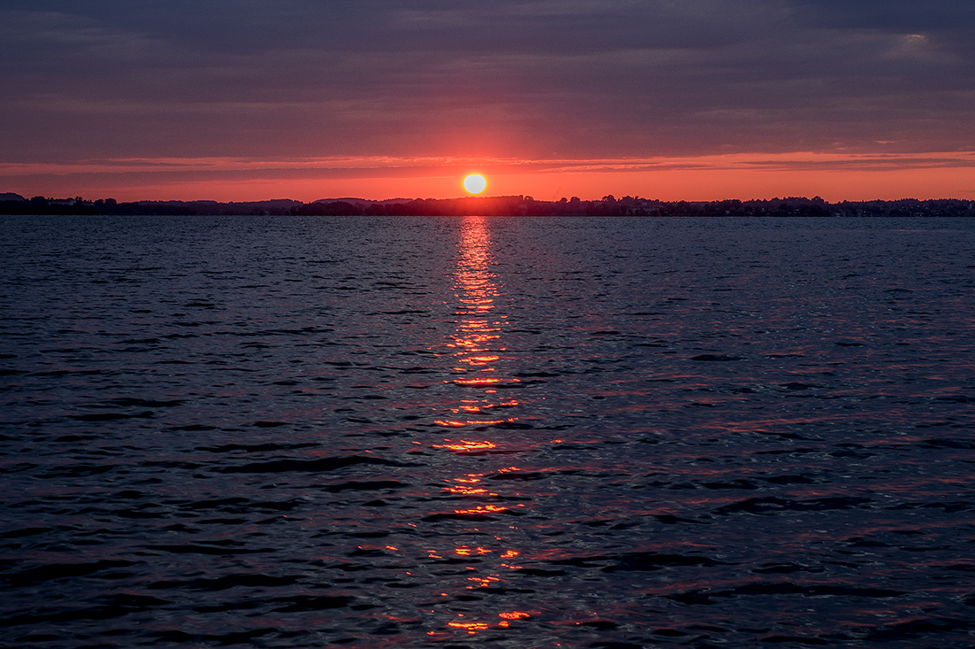 _37A5406.jpg