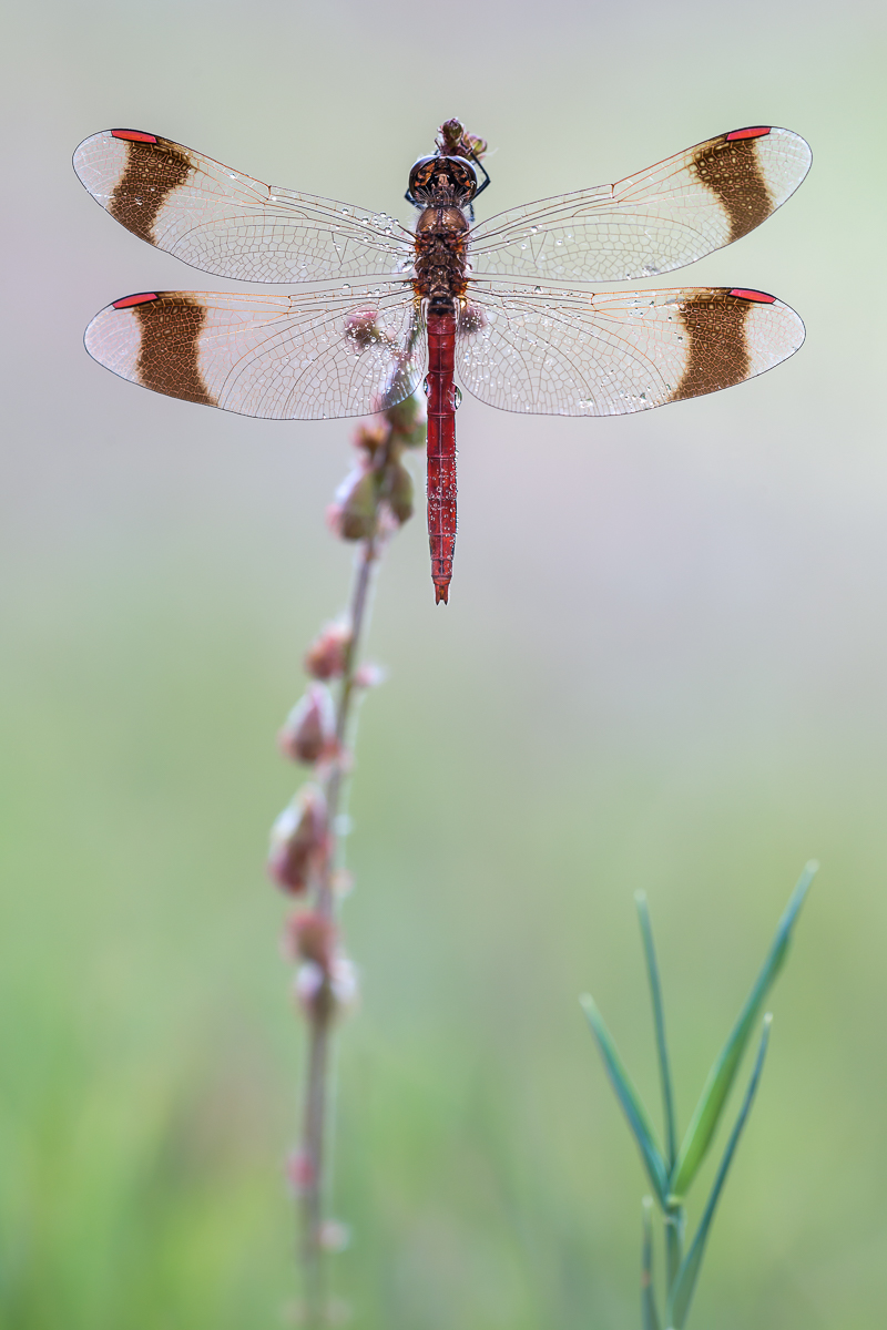 20150820-_DSC2605-klein2.jpg