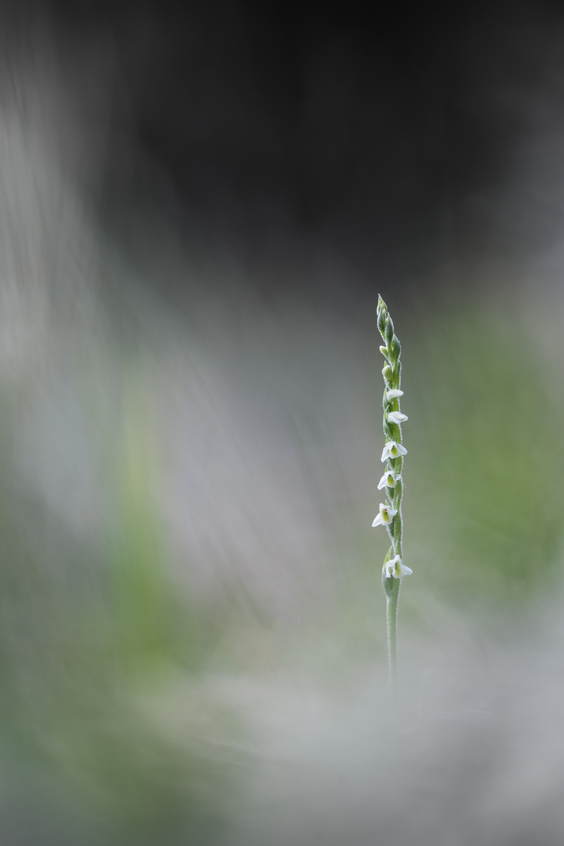 20150825-_DSC2672-klein.jpg