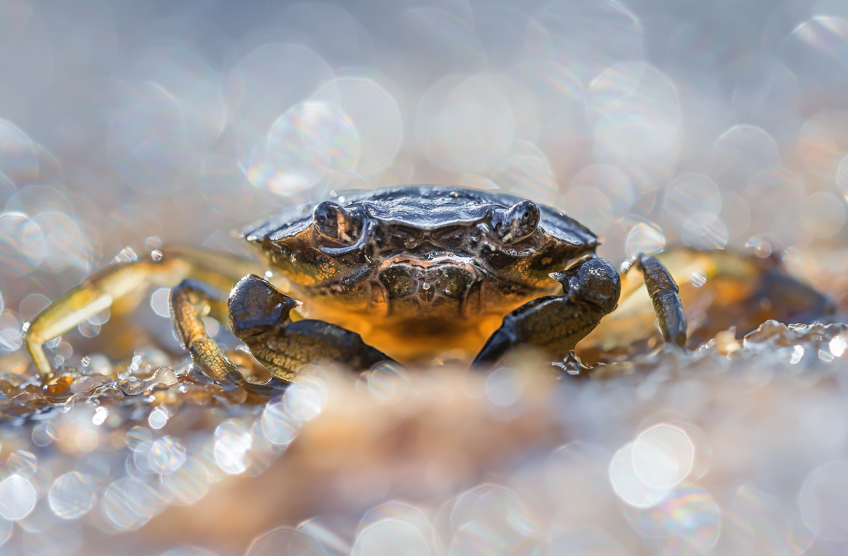 20150901-_DSC2753-klein3.jpg