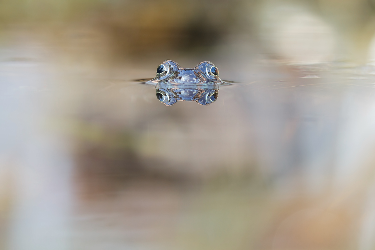 20150310_0094.jpg