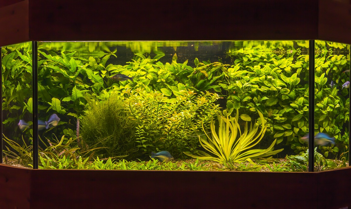 comp_ks27. Dezember 20141716.jpg