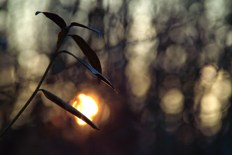 Sonnenuntergang.jpg