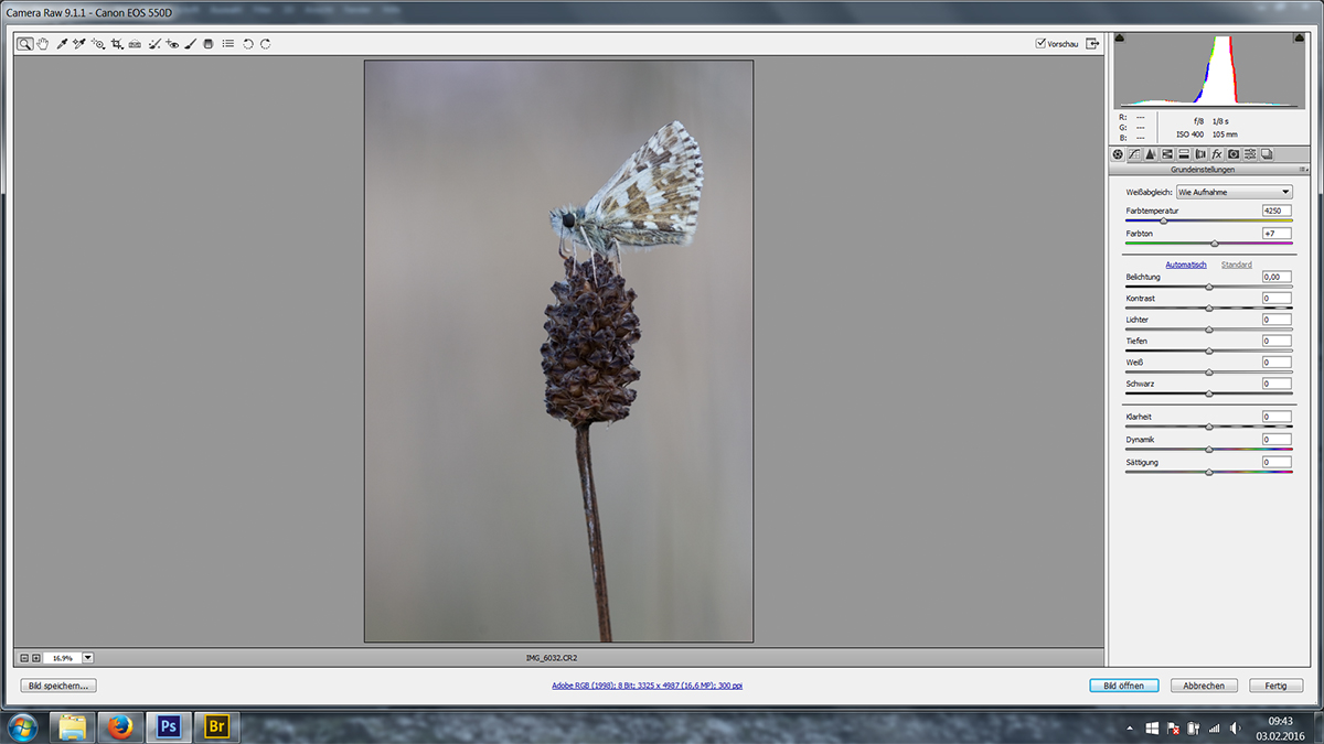 IMG_6032_screenshot.jpg
