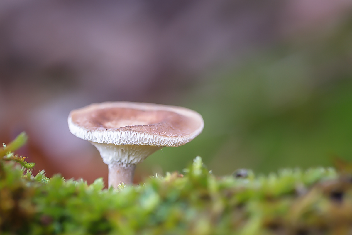 D7_18351.jpg