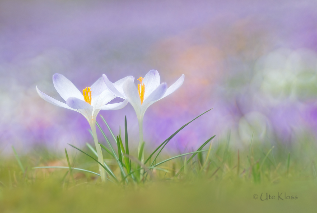 _MG_0578-Bearbeitet Kopie3.jpg