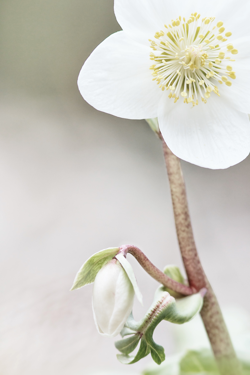 20160318_0051.jpg