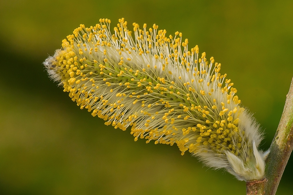 1.Quartal 16    035.jpg