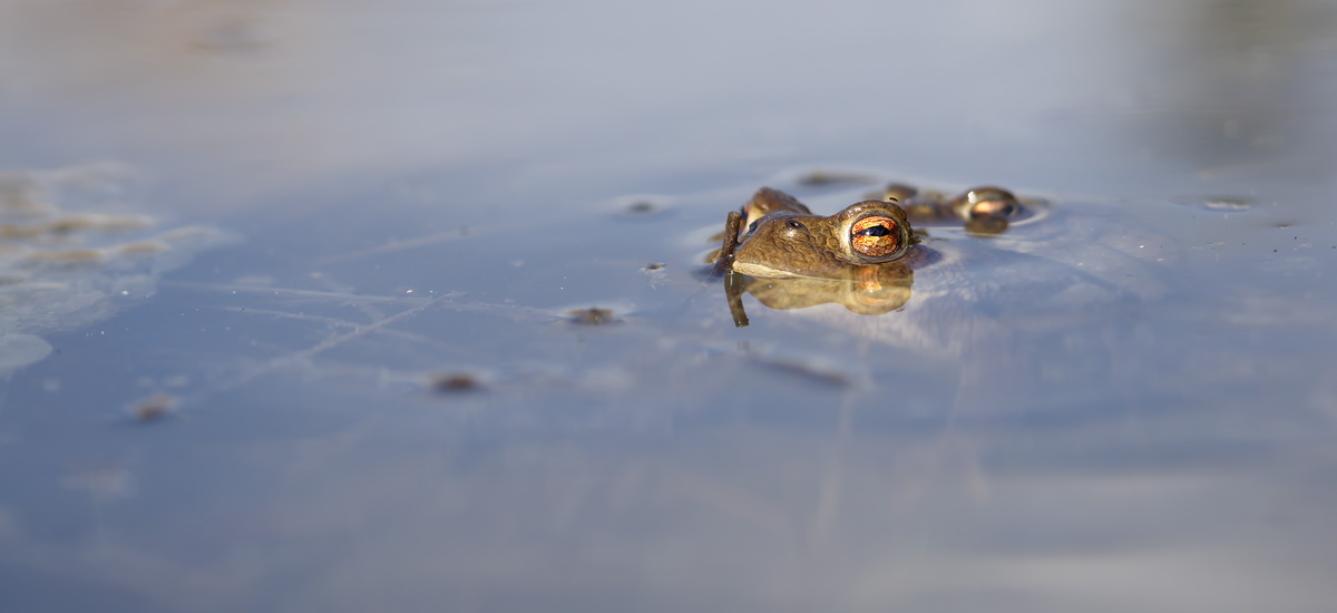DSC07094 Vor Anker... kl.jpg