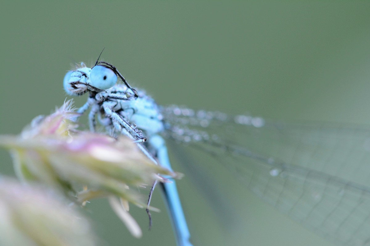 DSC_8496.JPG
