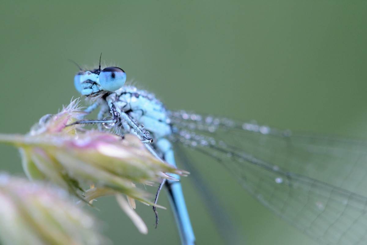 DSC_8503.JPG