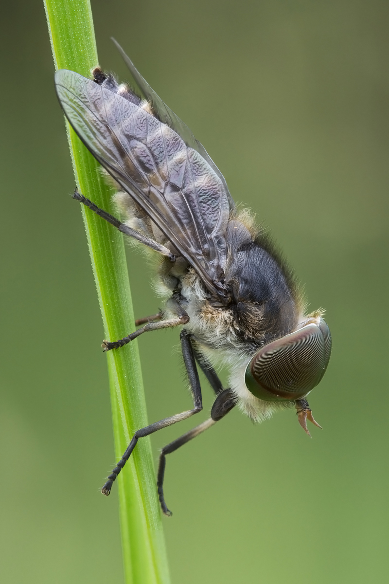 bremse-stack-4819+20.jpg