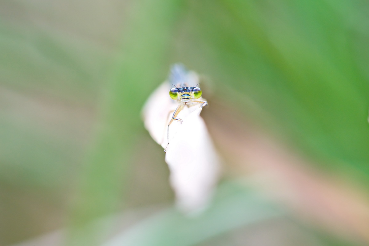 DSC_9297.jpg