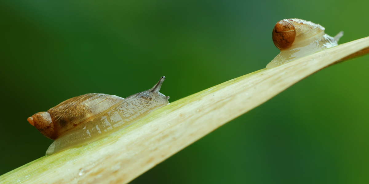 IMG_3535_DxO_2.jpg