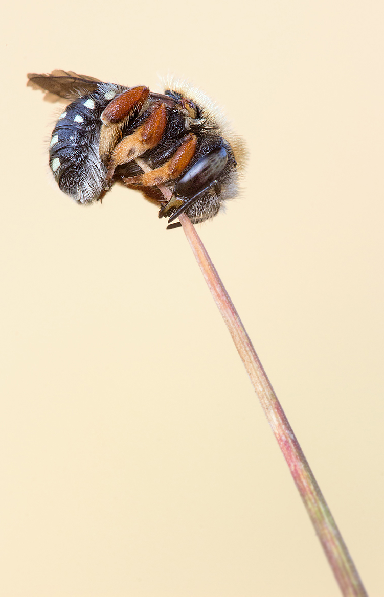 _MG_1182-Bearbeitet1 Kopie.jpg