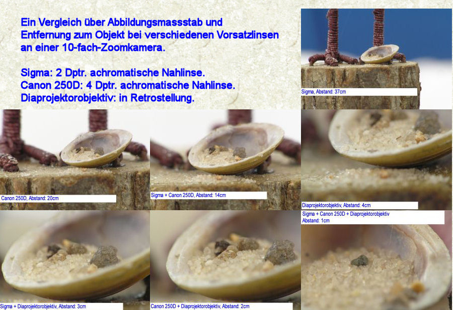 Collage Abbildungsmassstab_1.jpg