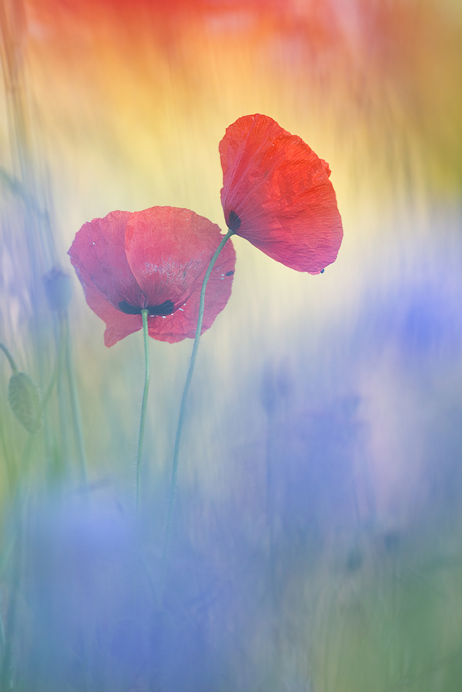 _MG_0062-Bearbeitet1 Kopie.jpg