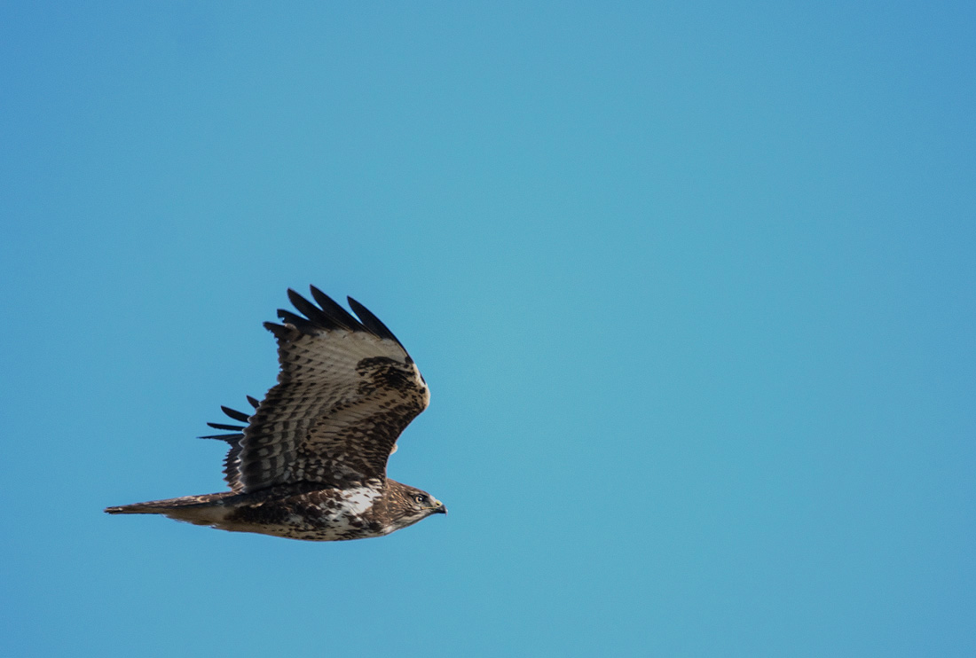 P1080624111 - Kopie.jpg