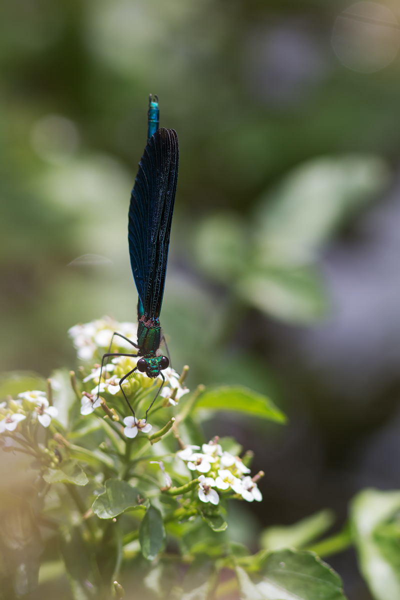 20160708_0053---Kopie.jpg