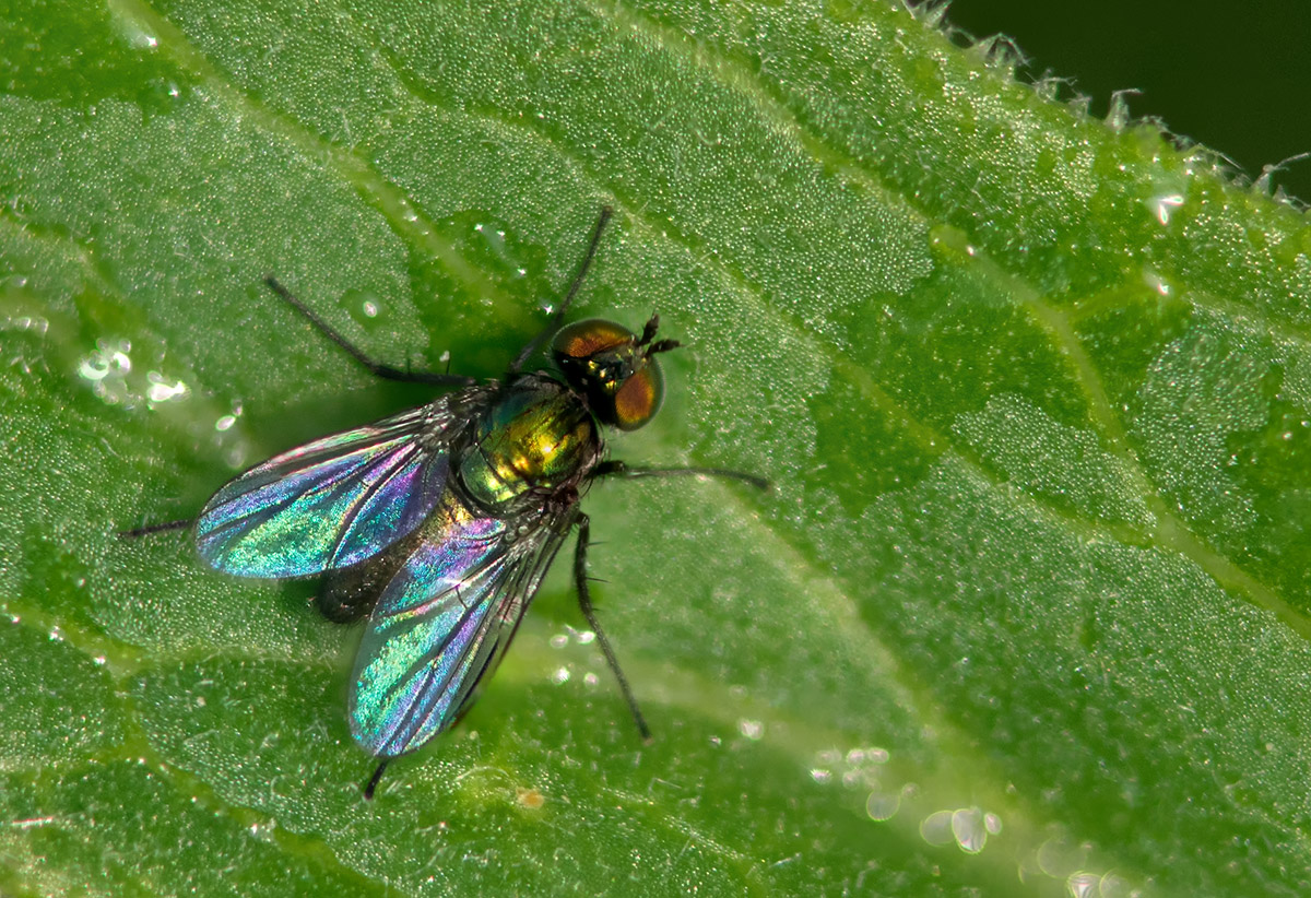 DSC0719.c.kl+++.jpg