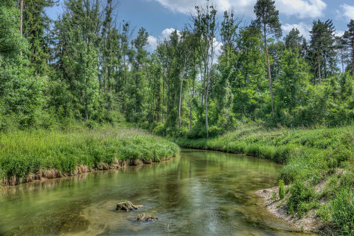 DSC00584_5_6_tonemapped.jpg